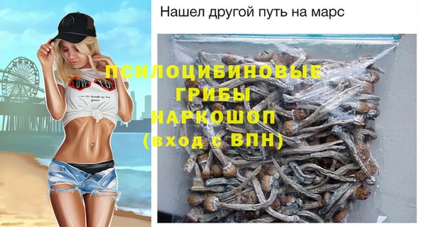 МДПВ Горнозаводск