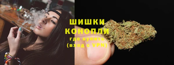 МДПВ Горнозаводск