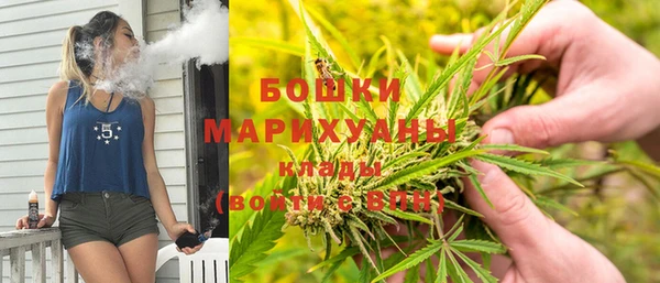 МДПВ Горнозаводск