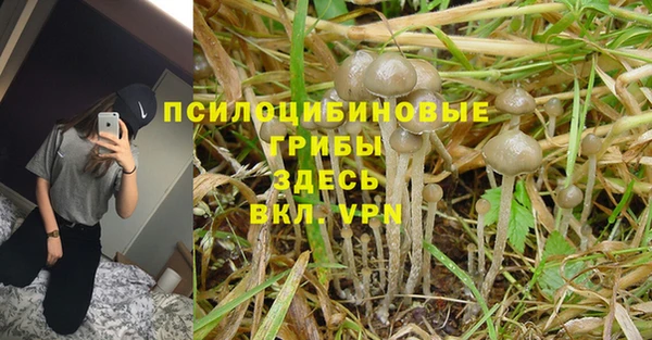 мескалин Горняк